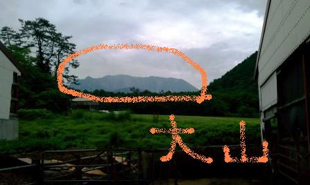 Photo_2