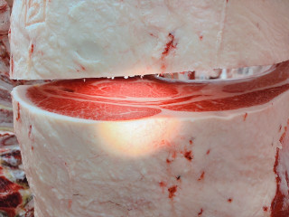 Photo_4