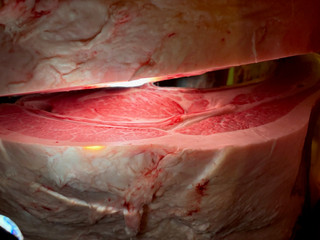 Photo_2
