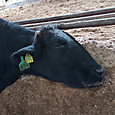 Img_20230430_111709421
