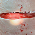 Photo_4