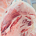 Photo_7