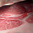 Photo_3