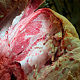 Photo_4