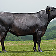Photo_2