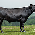 260525_52946_dsc_9283