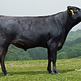 260526_909_dsc_9676
