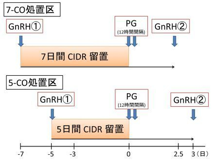全農ET研ブログ: 7日にする？5日にする？